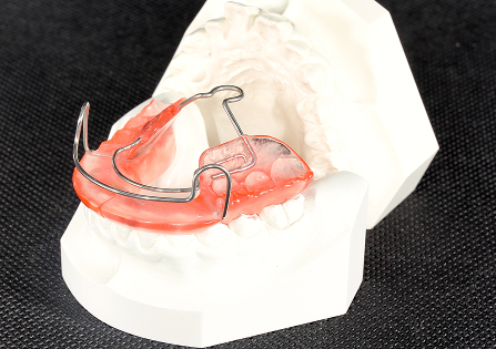 バイオネーターイメージ