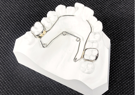 クワッドヘリクスイメージ