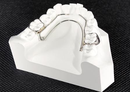 バイヘリクスイメージ2